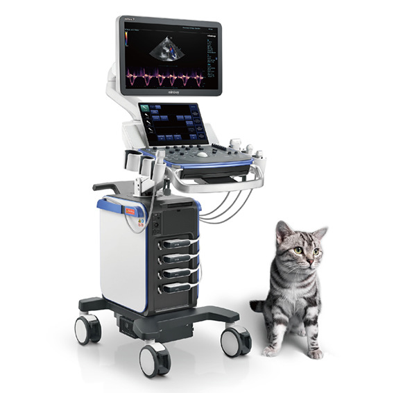 MINDRAY VETUS 7 RENKLİ DOPPLER ULTRASON CİHAZI